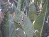 P4020083.JPG